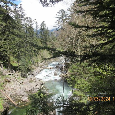 Studio Cerisema Pyrenees Zenith Luz-Saint-Sauveur Εξωτερικό φωτογραφία